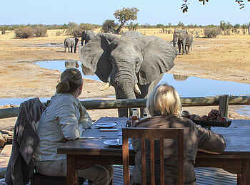 Nehimba Lodge: Beobachtung der Elefanten von der Terrasse Nehimba Lodge: Beobachtung der Elefanten von der Terrasse