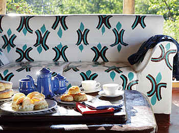 Planet Baobab: Afternoon Tea Planet Baobab: Afternoon Tea