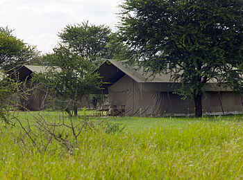 Ronjo Camp: Gästezelte mit Vordach