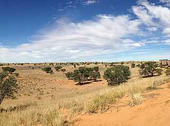 Rooiputs Lodge: Hauptgebäude und Gästechalets