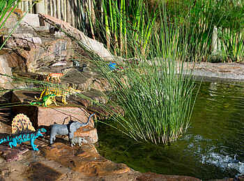 Marataba Safari Lodge: Teich mit Spielzeug