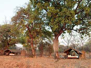 Nkonzi Bush Camp: Gästezelte unter Bäumen Nkonzi Bush Camp: Gästezelte unter Bäumen
