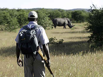 Encounter by Ongava: Nashorn auf Wandersafari beobachten