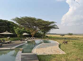 Kichwa Tembo Tented Camp: Swimmingpool Kichwa Tembo Tented Camp: Swimmingpool