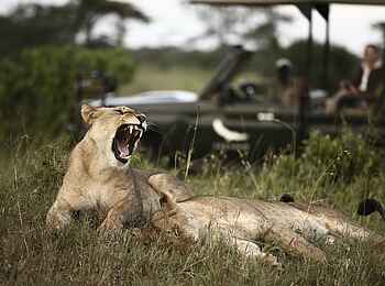 Klein's Camp: Müüüüde