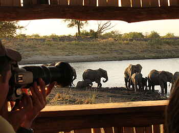Manyara Ranch: Elefanten vor der Linse Manyara Ranch: Elefanten vor der Linse