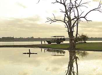 Roho ya Selous Camp: Kurze Kaffeepause mit Aussicht Roho ya Selous Camp: Kurze Kaffeepause mit Aussicht