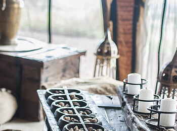 Shu'mata Camp: Brettspiel Shu'mata Camp: Brettspiel