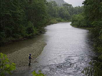 Tweedsmuir Park Lodge: Der Atnarko River
