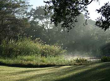 Waterberry Lodge: Morgennebel über dem Reservoir
