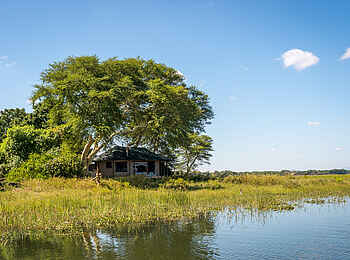 Kuthengo Camp: Schatten spendender Baum Kuthengo Camp: Schatten spendender Baum