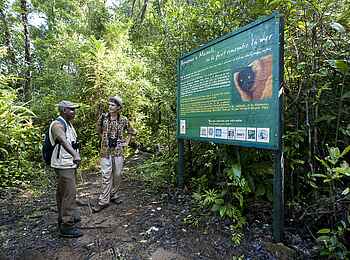 Masoala Forest Lodge: Zugang zum Nationalpark Masoala Forest Lodge: Zugang zum Nationalpark