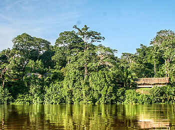 Sangha Lodge: Lage am Flussufer Sangha Lodge: Lage am Flussufer