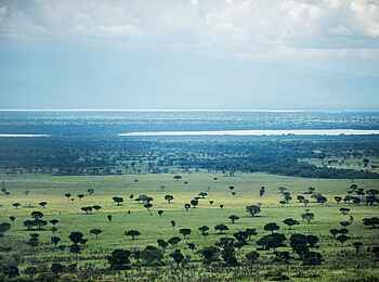 Volcanoes Kyambura Gorge Lodge: Savanne im Queen Elizabeth National Park Volcanoes Kyambura Gorge Lodge: Savanne im Queen Elizabeth National Park