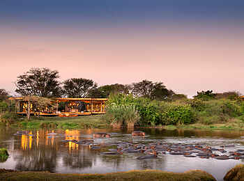 andBeyond Grumeti Serengeti River Lodge: Nilpferde vor der Lodge andBeyond Grumeti Serengeti River Lodge: Nilpferde vor der Lodge