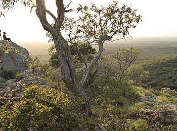 &Beyond Phinda Rock Lodge: Sanfte grüne Hügel &Beyond Phinda Rock Lodge: Sanfte grüne Hügel