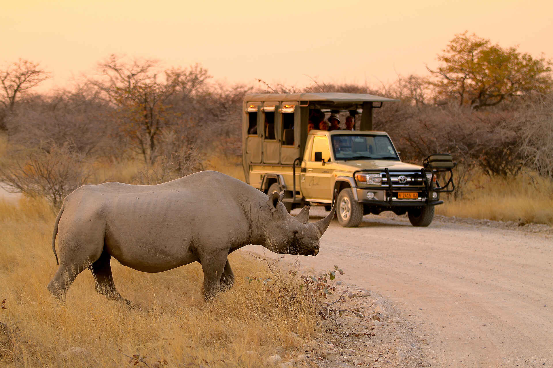 Epacha Game Lodge & Spa, Epacha Private Game Reserve, Epacha Wildtierreservat, Etosha Nationalpark, Busch, Game Drive, Geländewagen, Nashorn, Pirschfahrt, Afrikarma, Afrikarma Safaris, Afrikarma Safaris – Wildnis. Hautnah., afrikarma.de