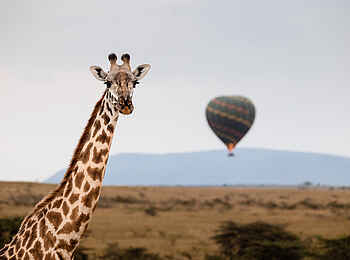 Hemingways River Camp Mara: Ballonfahrt