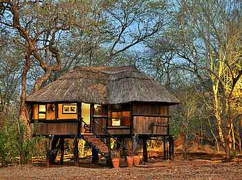 Ivory Lodge: Treehouse Room Ivory Lodge: Treehouse Room