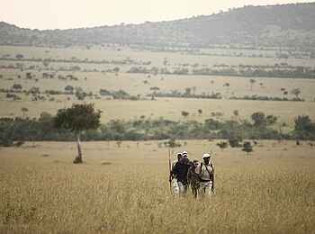 Klein's Camp: Buschwanderung