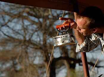 Kuro Tarangire: Sonnenreflektion Kuro Tarangire: Sonnenreflektion