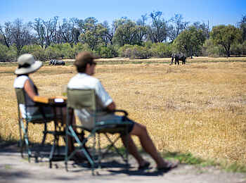 Little Machaba Camp: Häufig streifen Tiere über die Lichtung vor dem Camp