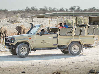 Onguma Camp Kala: Gamedrive