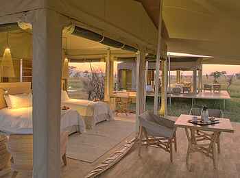 Roving Bushtops Camp: Seitenansicht des Familienzelts