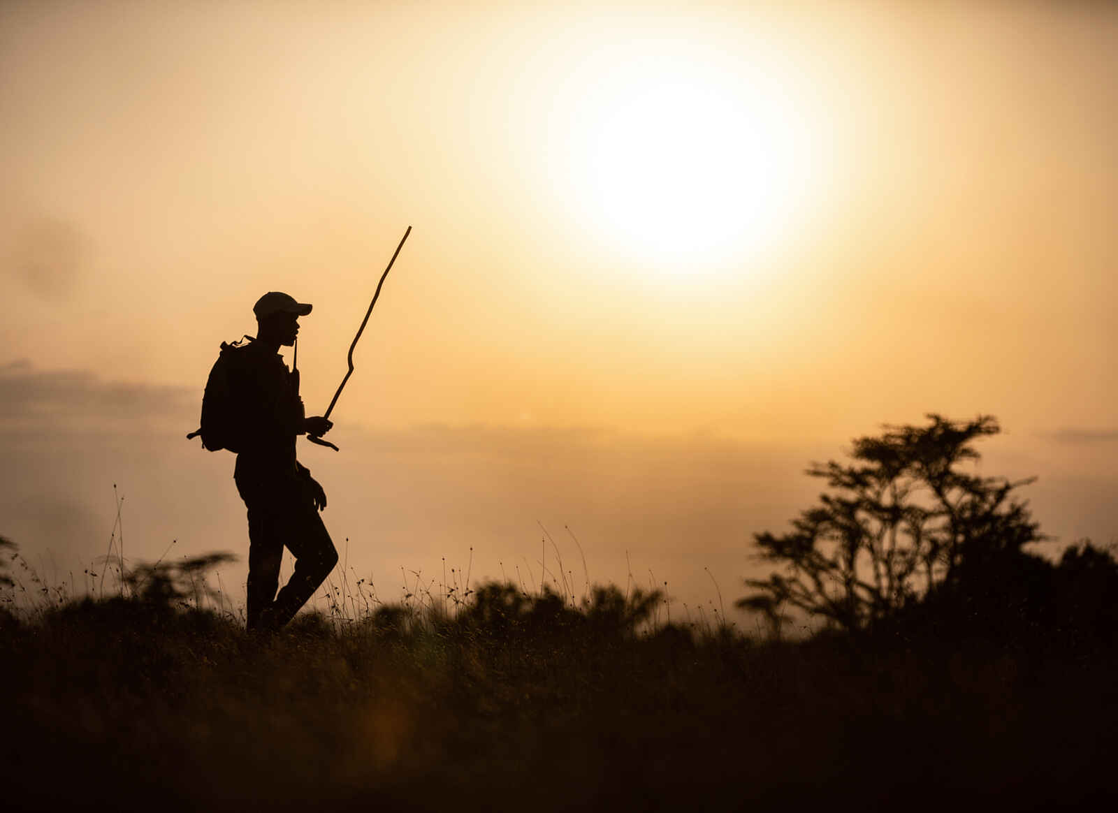 Segera Retreat: Eine Wandersafari Segera Retreat: Eine Wandersafari