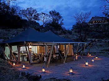 Serengeti Pioneer Camp: Gästezelt bei Nacht Serengeti Pioneer Camp: Gästezelt bei Nacht