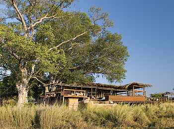 Shumba Camp: Die schattenspendenen Feigenbäume Shumba Camp: Die schattenspendenen Feigenbäume