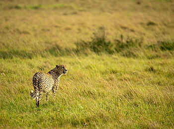 Ubuntu Migration Camp: Pirschfahrt