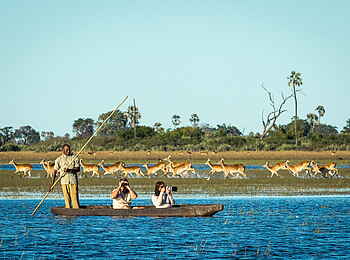 Jao Camp: Kanu Jao Camp: Kanu