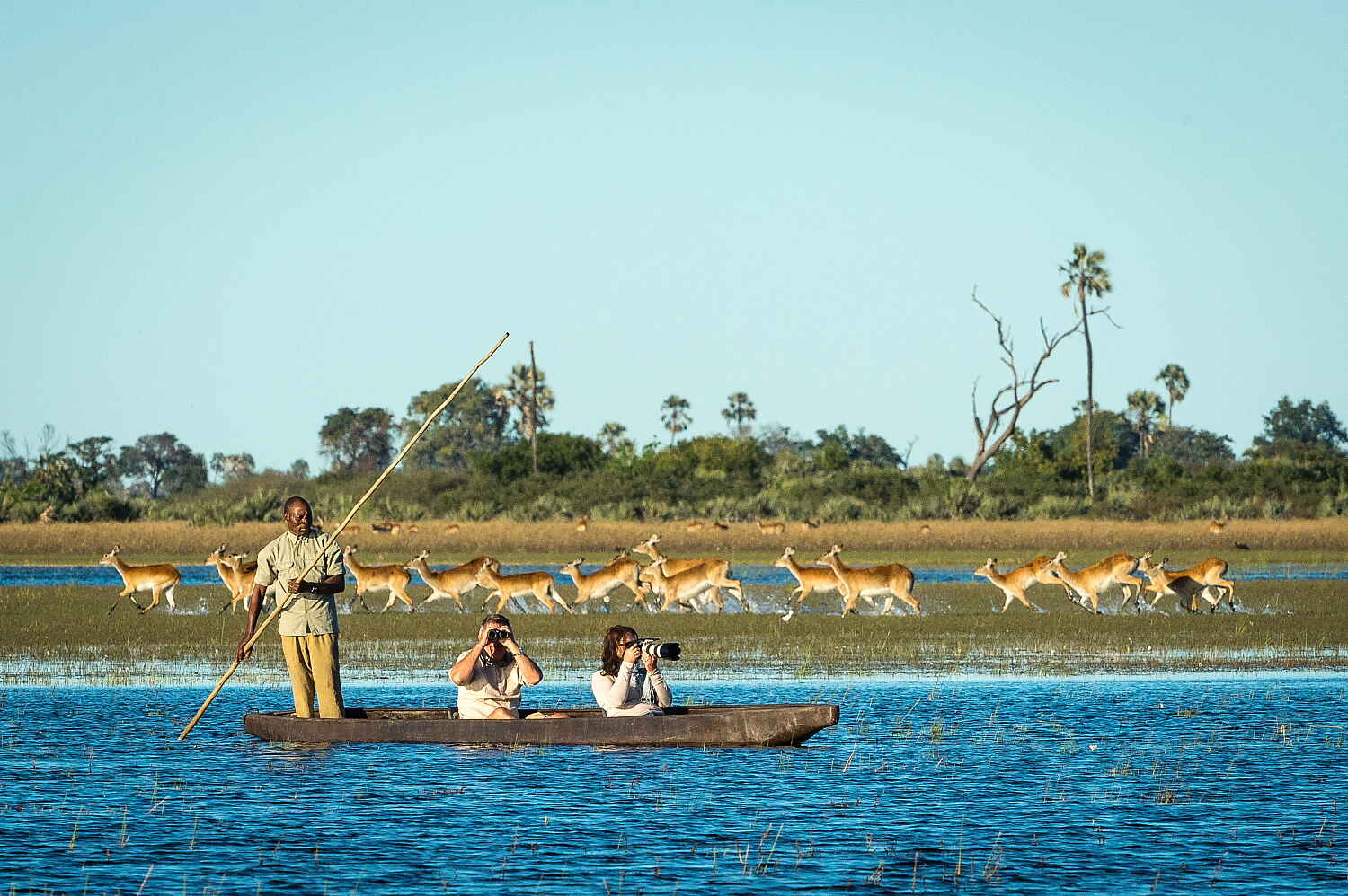 Afrikarma, Afrikarma Safaris, Afrikarma Safaris. Wildnis. Hautnah., Afrikarma.de, Wildlife, Kanu, Tour