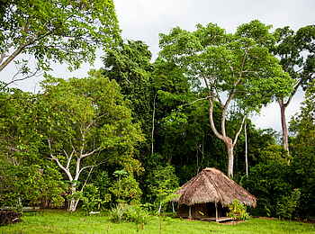 Sangha Lodge: Hütte im Wald Sangha Lodge: Hütte im Wald