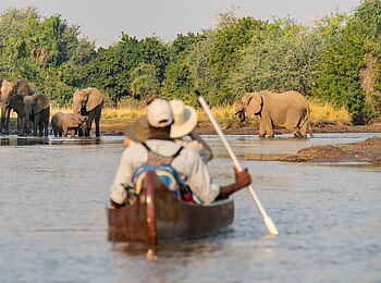 Time + Tide Chongwe: Elefanten voraus