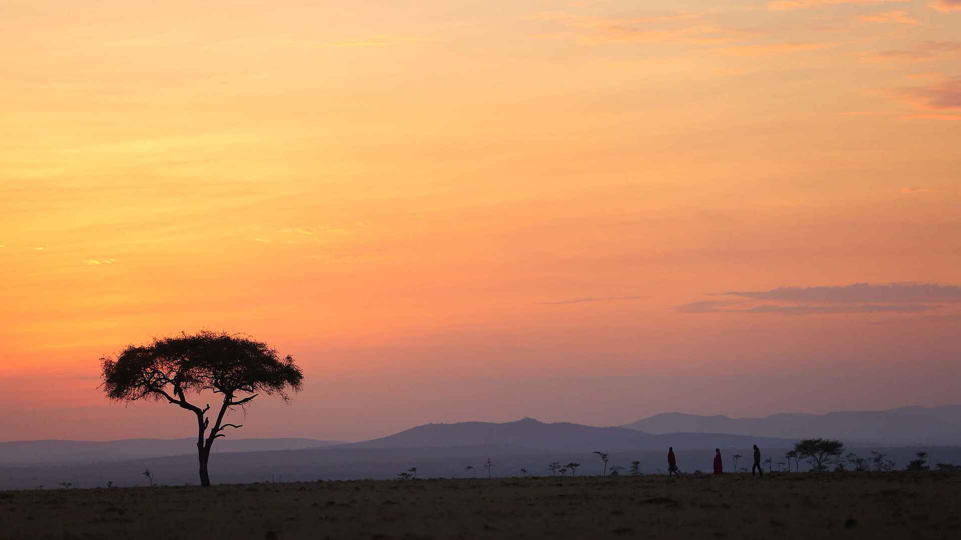 Basecamp Wilderness: Abendstimmung