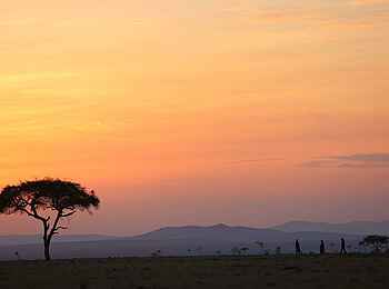 Basecamp Wilderness: Abendstimmung Basecamp Wilderness: Abendstimmung