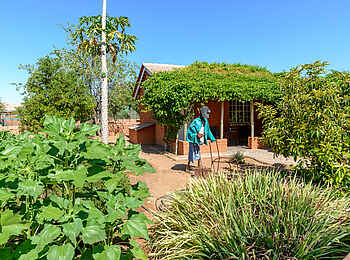 Damara Mopane Lodge: Gartenkunst Damara Mopane Lodge: Gartenkunst