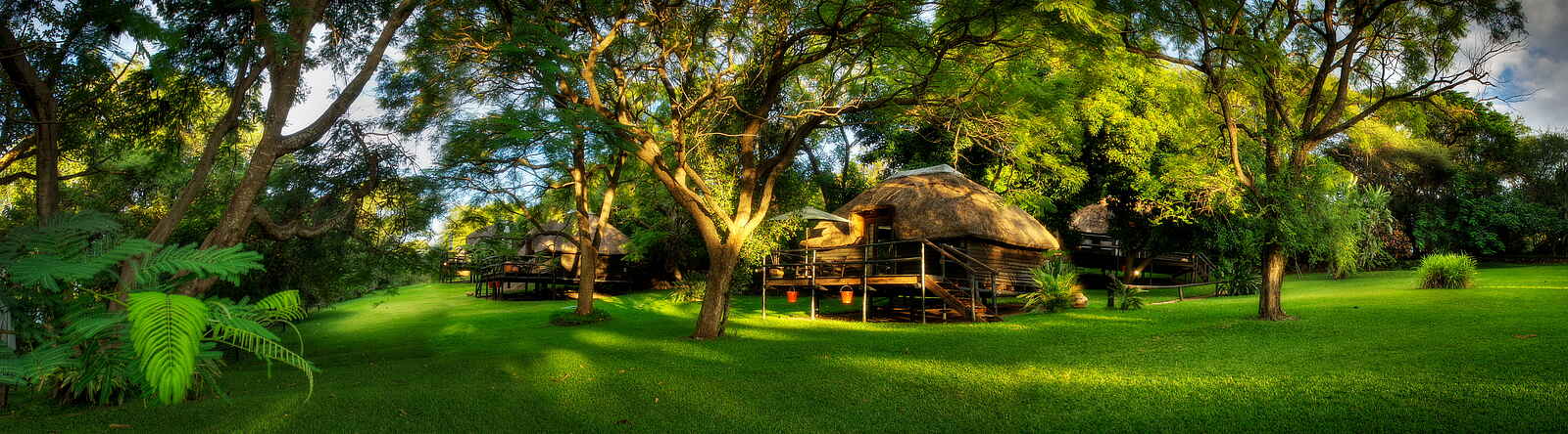 Kubu Lodge: Gartenpanorama Kubu Lodge: Gartenpanorama