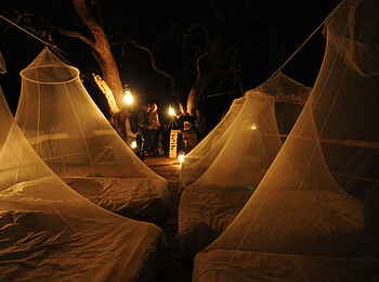 Macatoo Camp: Baumhaus bei Nacht