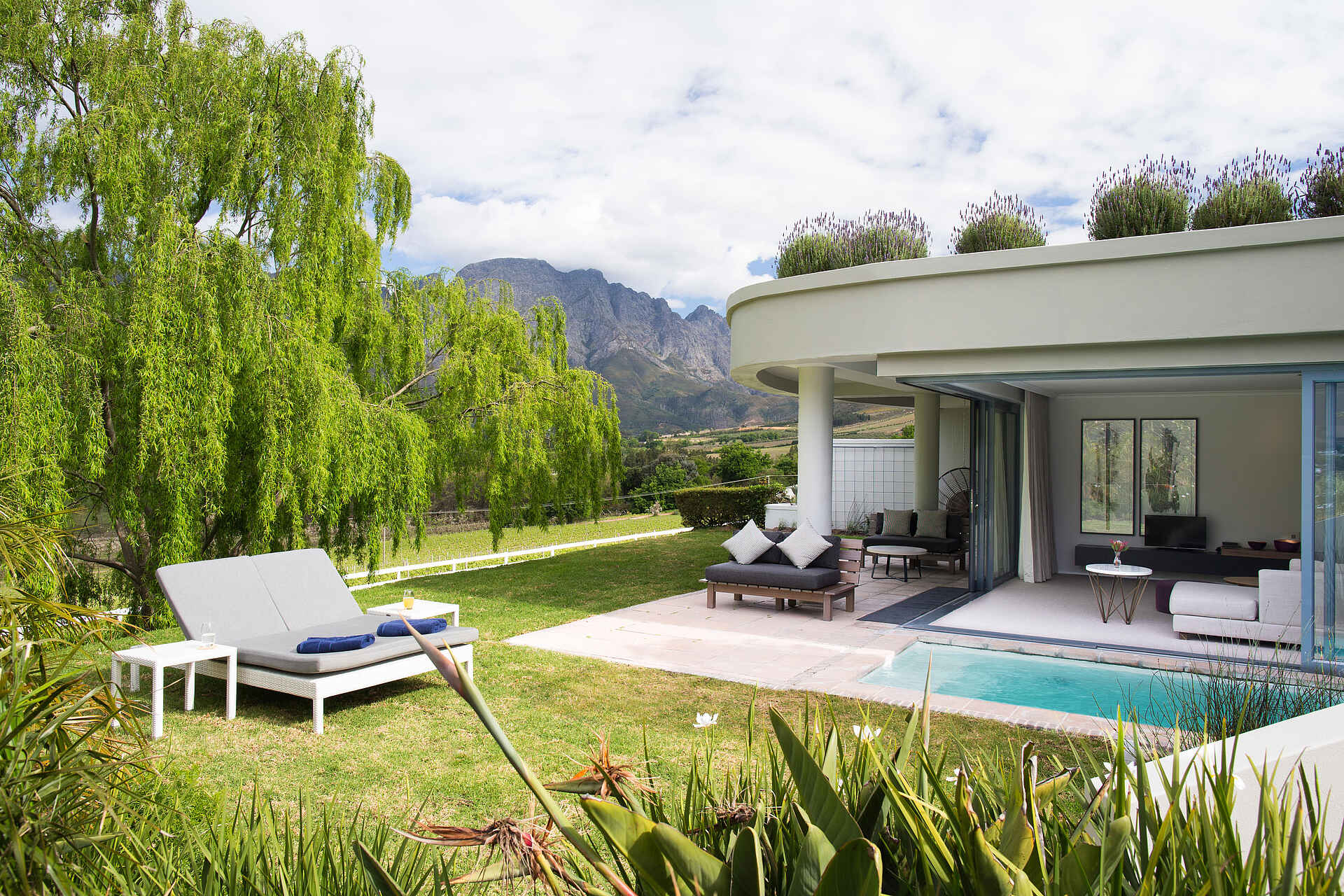 Mont Rochelle Hotel & Vineyard: Cap Classique Suite Pool