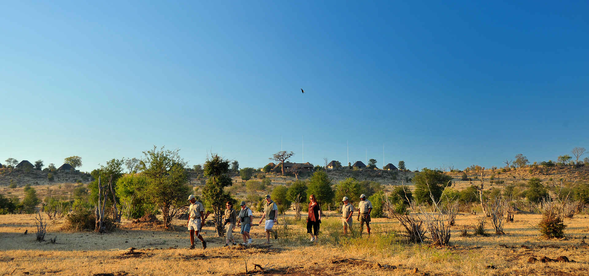 Ngoma Safari Lodge: Buschwanderung