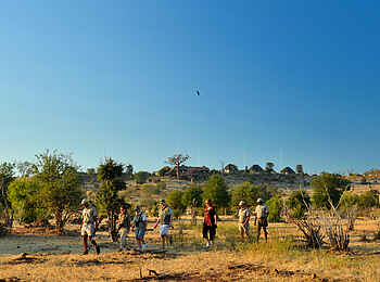 Ngoma Safari Lodge: Buschwanderung Ngoma Safari Lodge: Buschwanderung