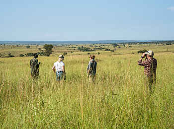 Papa´s Camp: Walking Safari