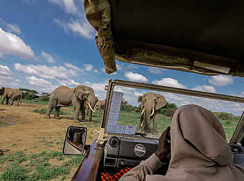 Porini Amboseli Camp: Pirschfahrt Porini Amboseli Camp: Pirschfahrt