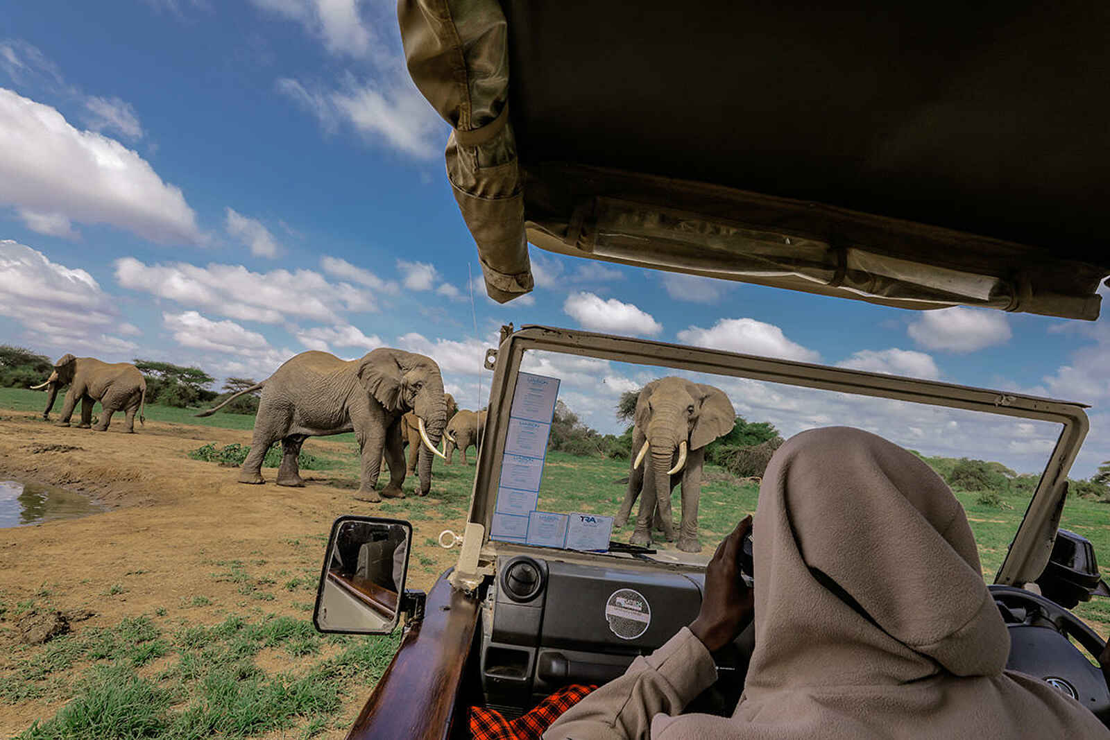 Porini Amboseli Camp: Pirschfahrt Porini Amboseli Camp: Pirschfahrt