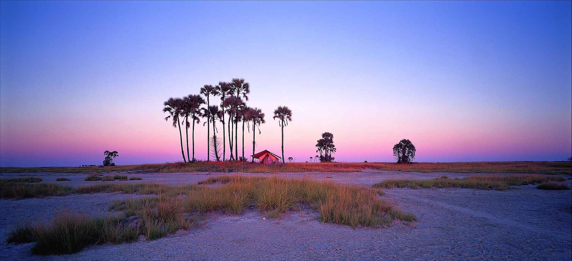 Baobab, CT11, Makgadikgadi, Ntwetwe Pan, Nxai Pans, San Camp, Gästezelt, Uncharted Africa Safari Co., Ntwetwe-Pfanne