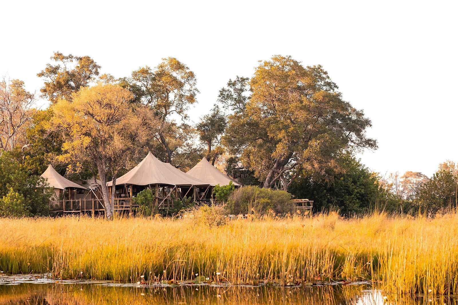 Tuludi Camp: Campansicht Tuludi Camp: Campansicht