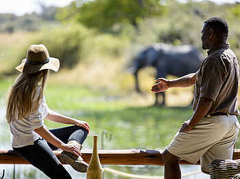 Chief's Camp: Tierbeobachtung von der Veranda aus